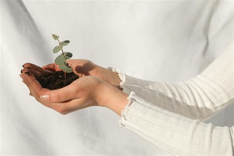 South Africa’s greenest cities: Top three.